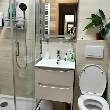 U Baczkow アパート *